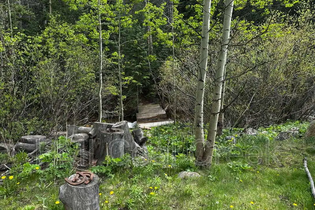 2970 Apex Valley Rd - View 5