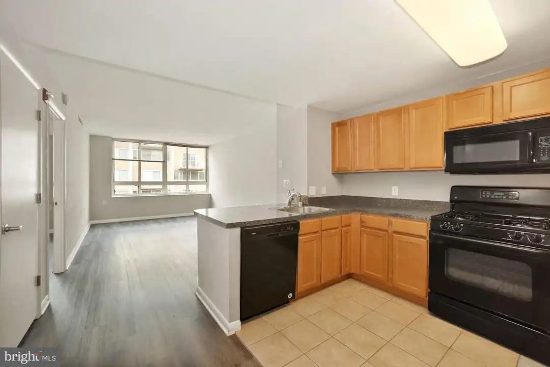 350 G St SW #N522 - View 3