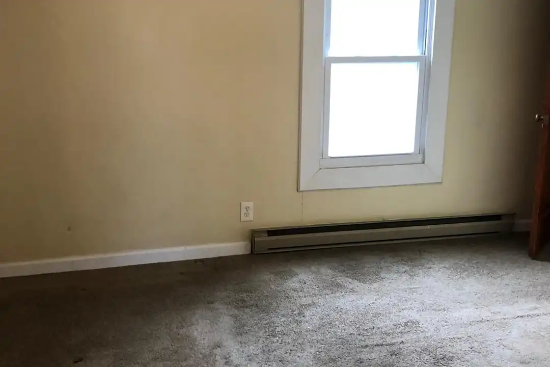 221 Chestnut St unit 1 – photo 1