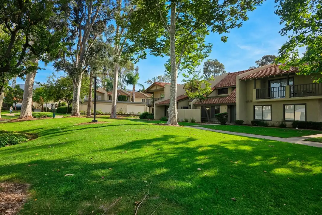 1538 Via Del Rio - View 5