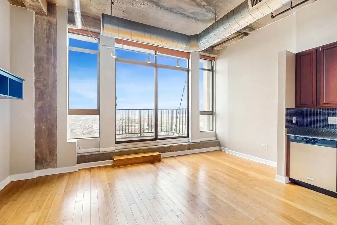1550 S Blue Island Ave unit 1118 - View 3