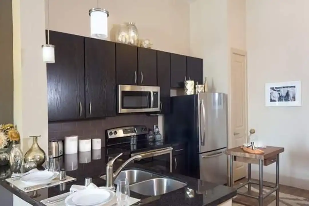 230 T C Jester Blvd unit # 1174 - View 2