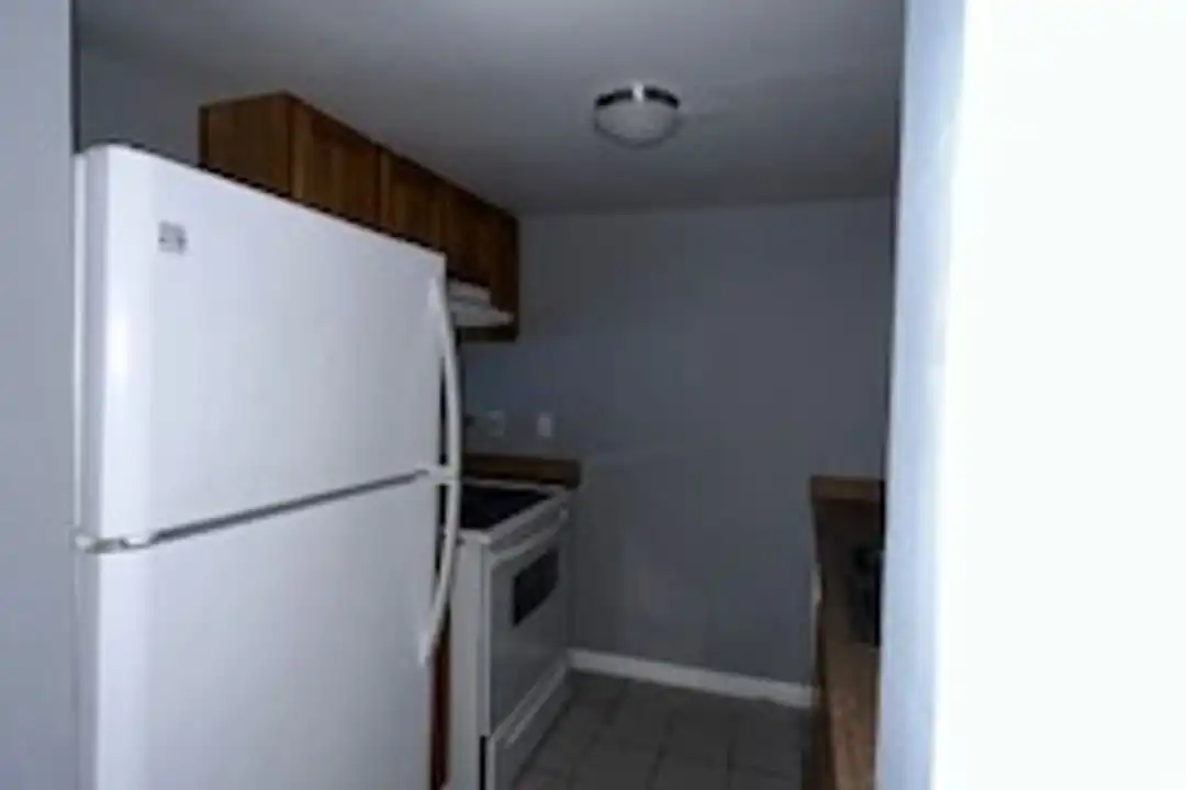 Apartment in Tampa - View 4