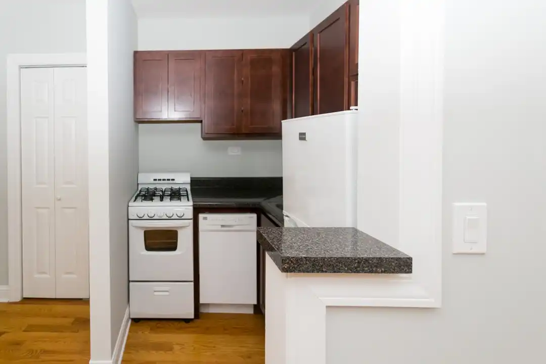 832 W Wolfram St unit 704 - View 3