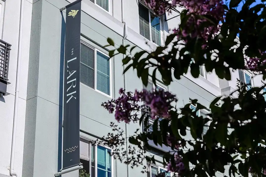 The Lark - View 5