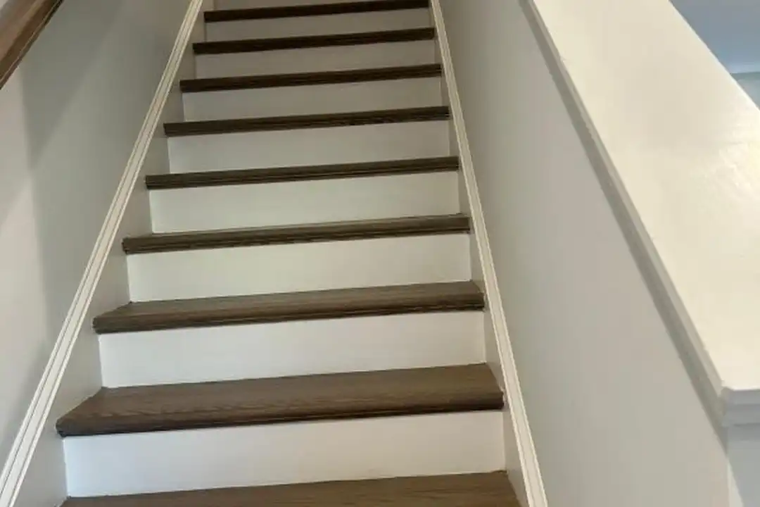 1004 Taylor Ct - View 5