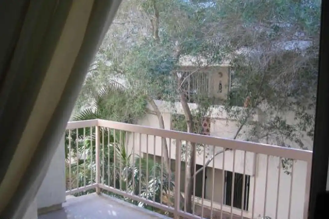 Apartment in Scottsdale - More