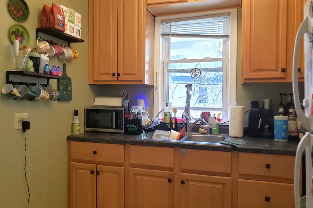 321 W Wilson St unit 4 - View 6