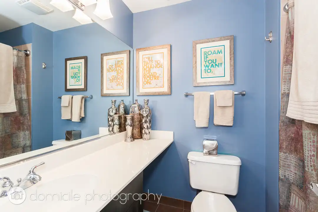 1735 W Diversey Pkwy unit 315 - More