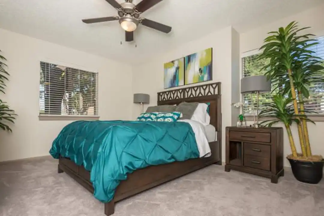 512 Palace Pkwy unit # 512 - View 5