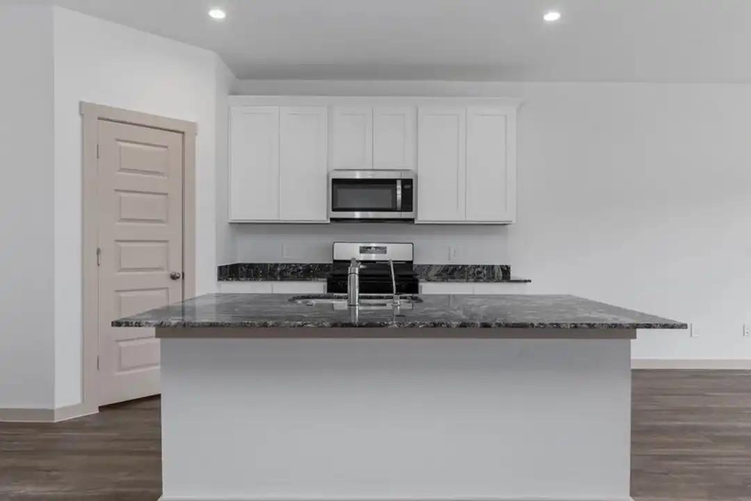 1039 Great Barracuda Ln - More