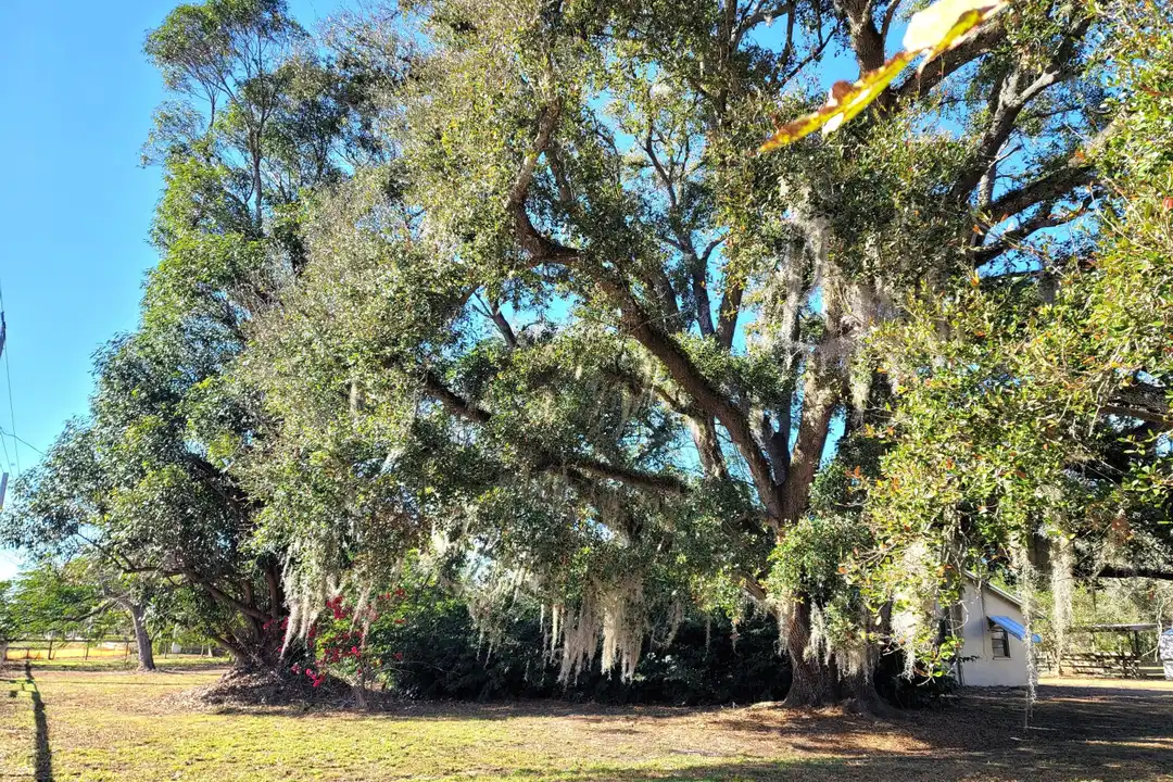 4362 W Midway Rd - View 3