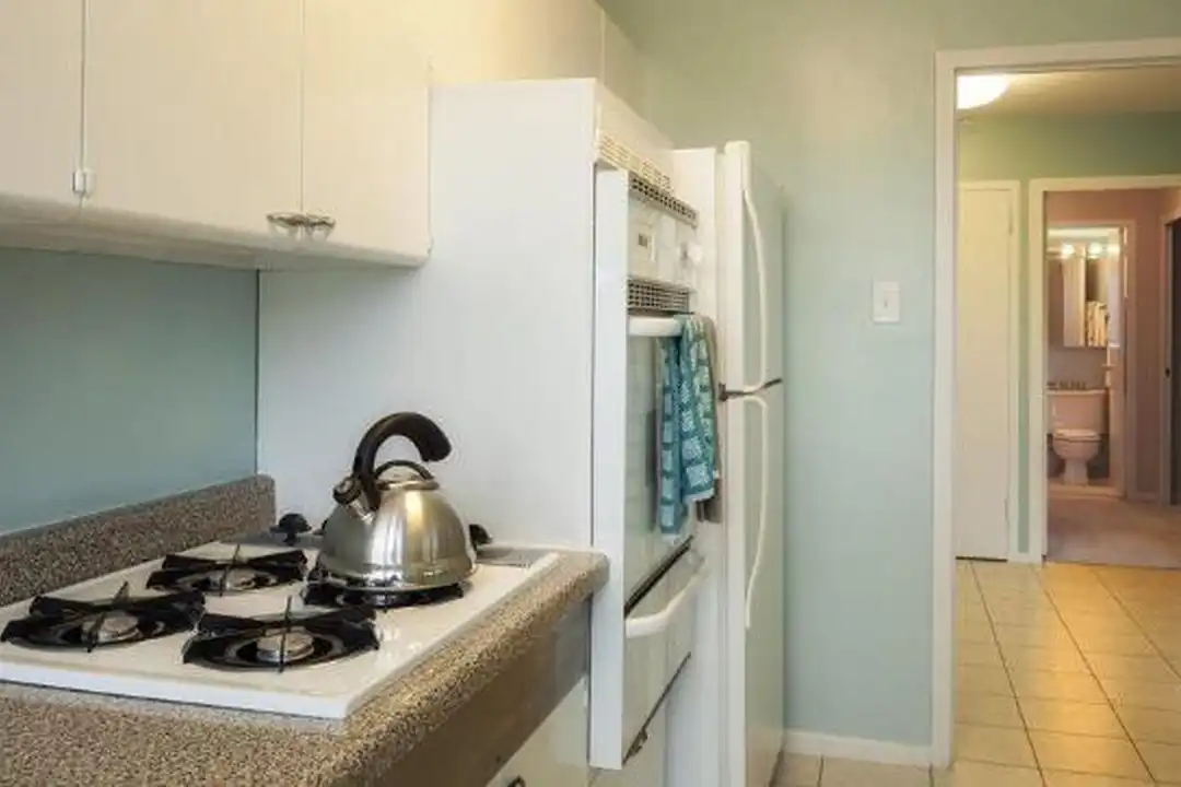 3233 S King Dr - View 5