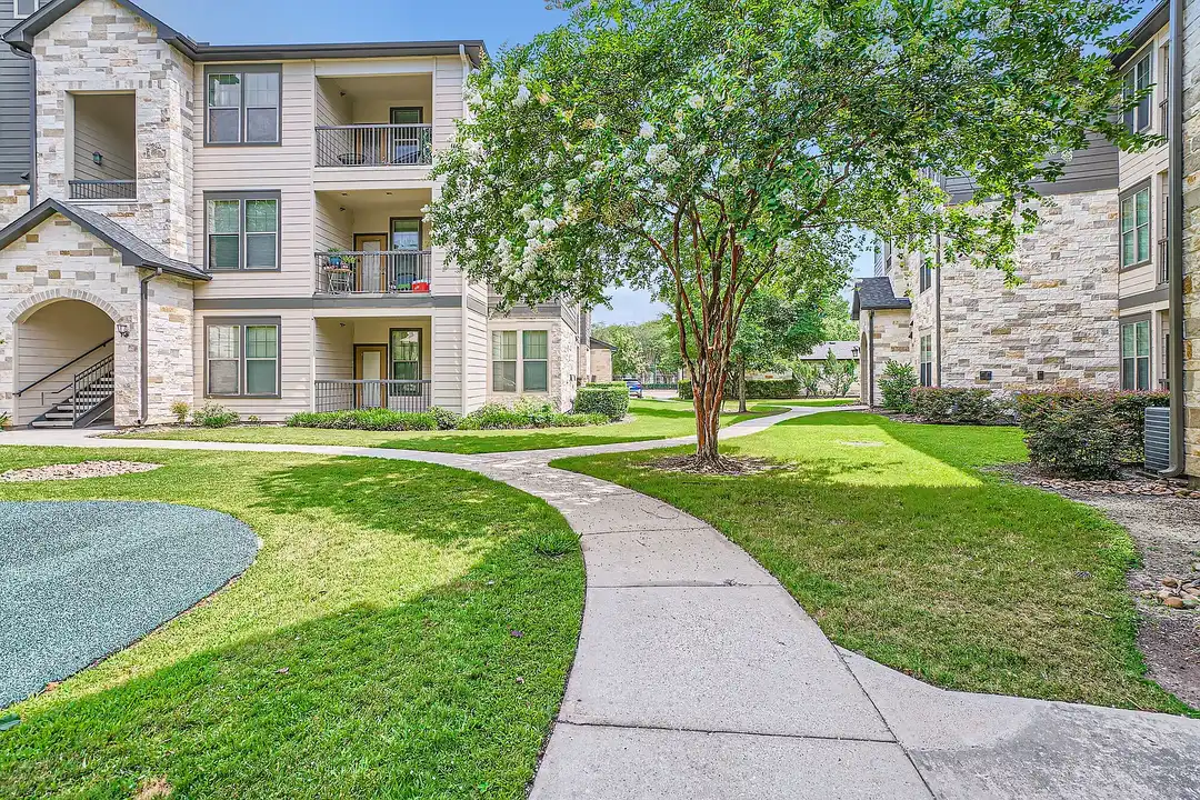 Apartment in Kingwood, Pittsville - More