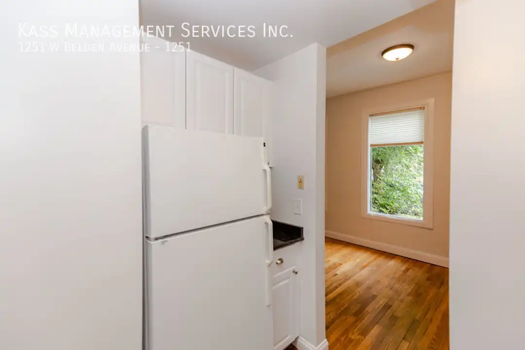 1251 W Belden Ave - View 3
