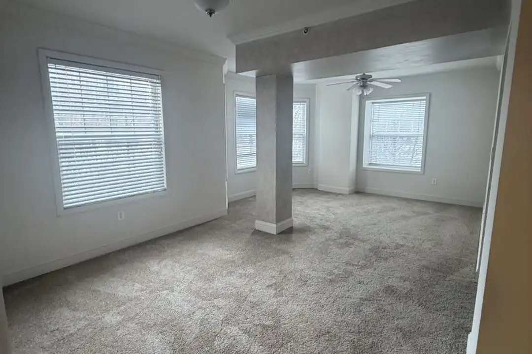 515 W Franklin St unit 4-0201 - View 3