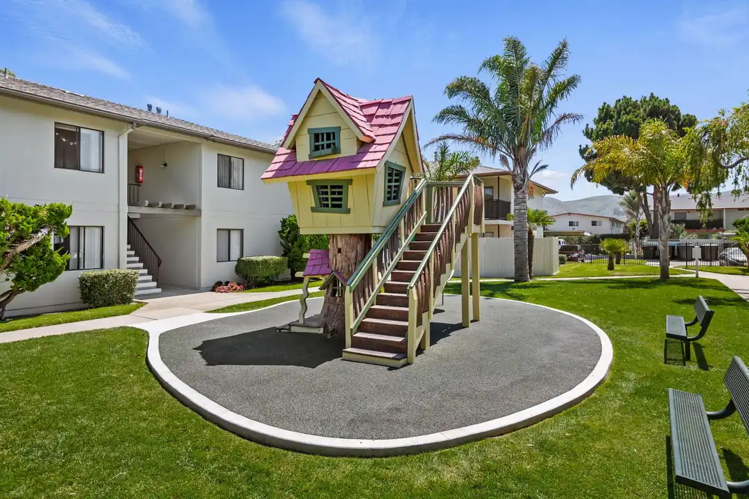 Bay Laurel - View 3