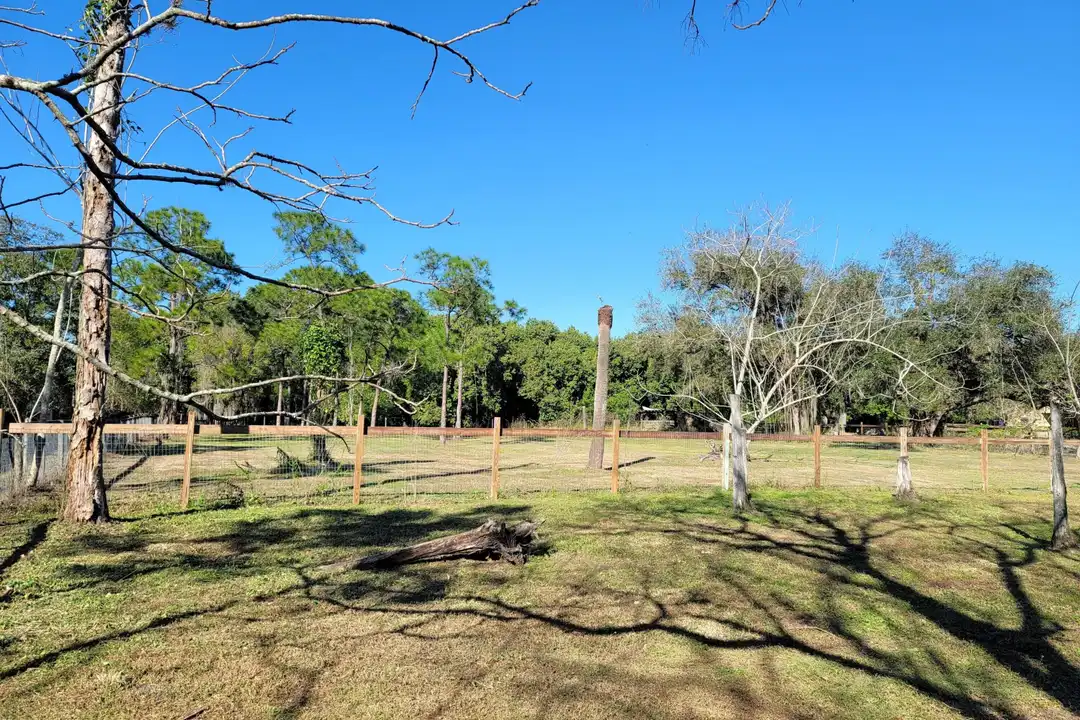 4362 W Midway Rd - View 6
