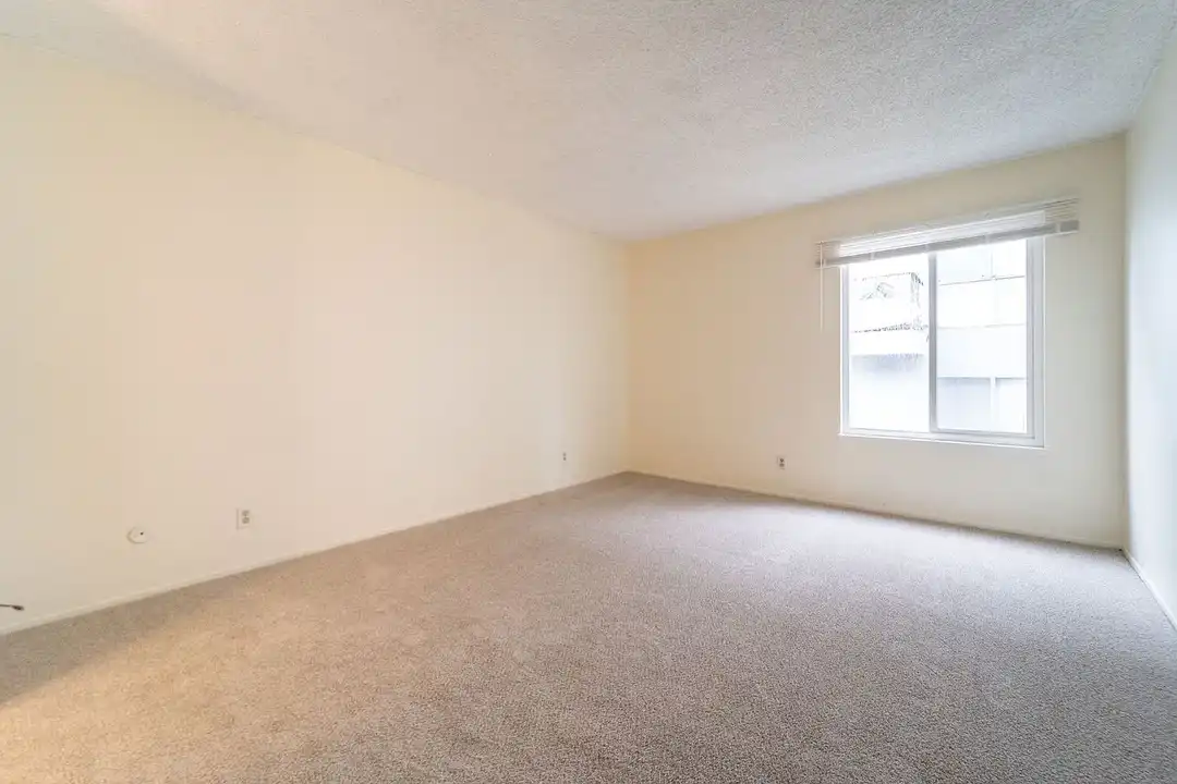 Euclid Apartments - View 4