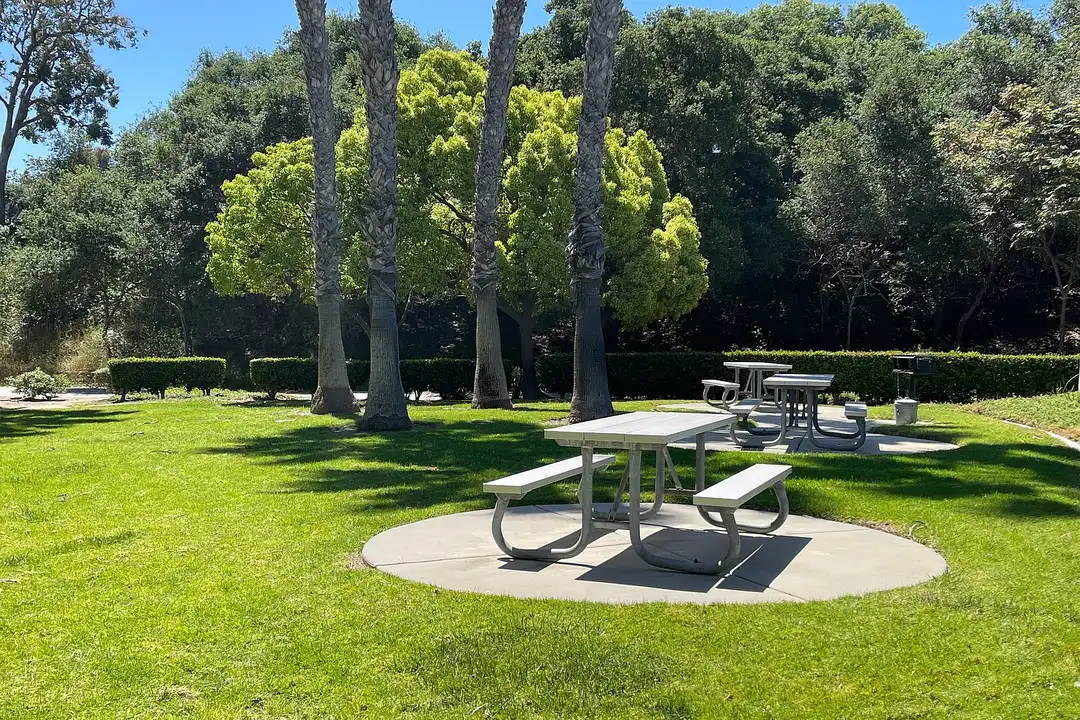 Apartment in Carlsbad - View 4