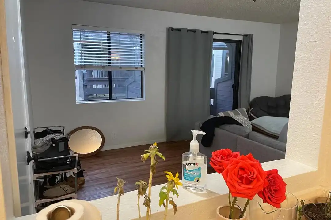 55 Stenner St unit H - More