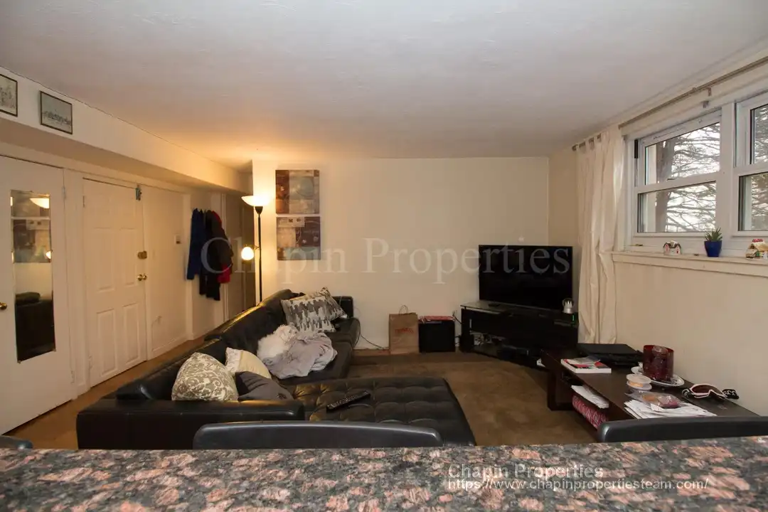 95 Chestnut St unit 1B NEW - View 6
