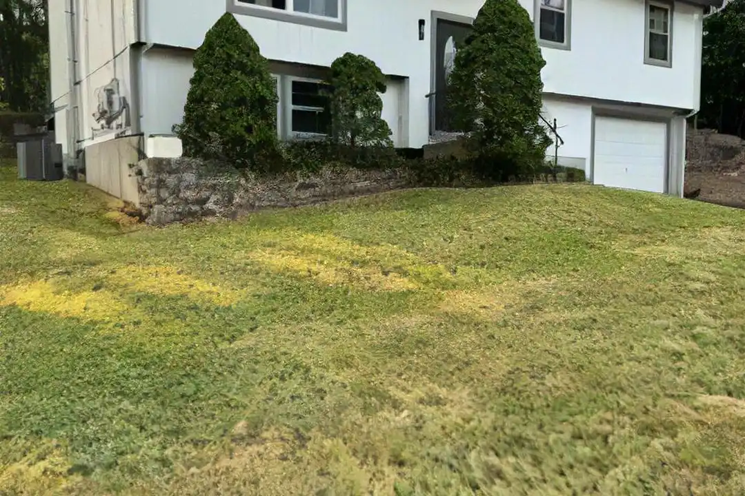 222 Osborn Rd – photo 1 of 18