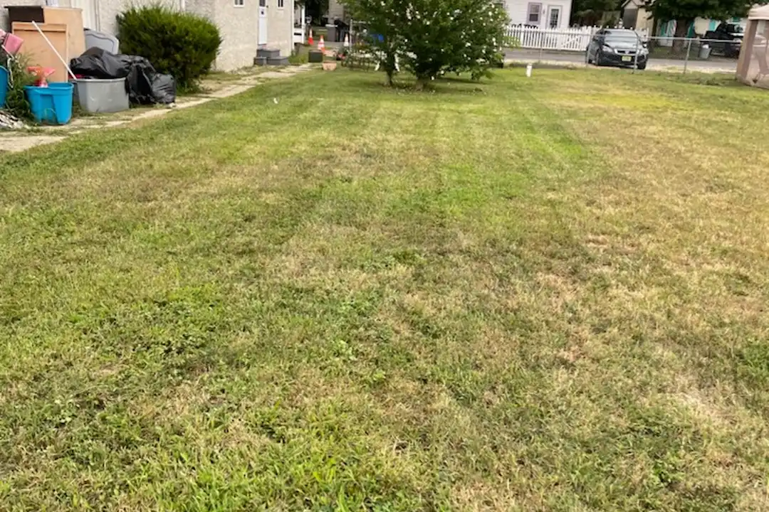 513 Blackburn Ave - View 4