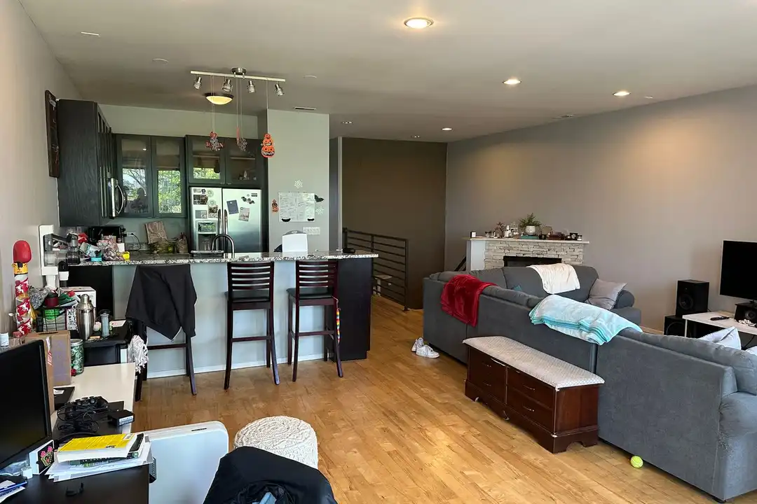 1649 W Cortland St unit 401 - More