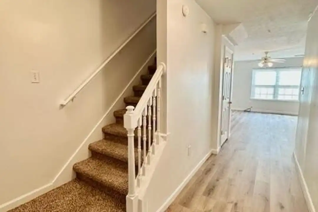209 Swaying Pine Ct - View 3