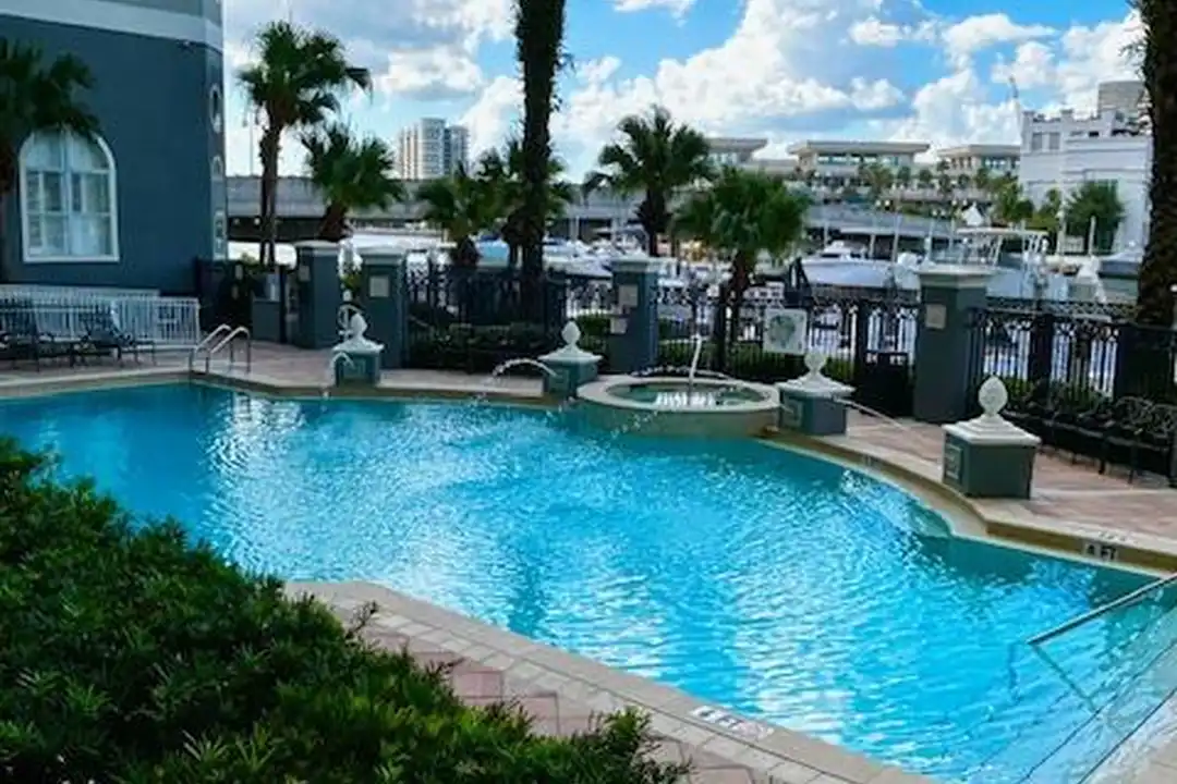 Apartment in Tampa - View 4
