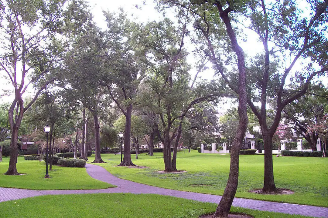 Apartment in Houston, Uptown - View 5