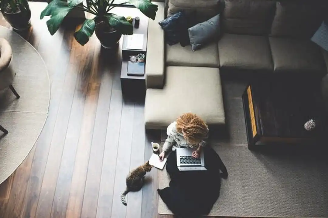 Apartment in Houston, Washington Avenue Corridor - View 4