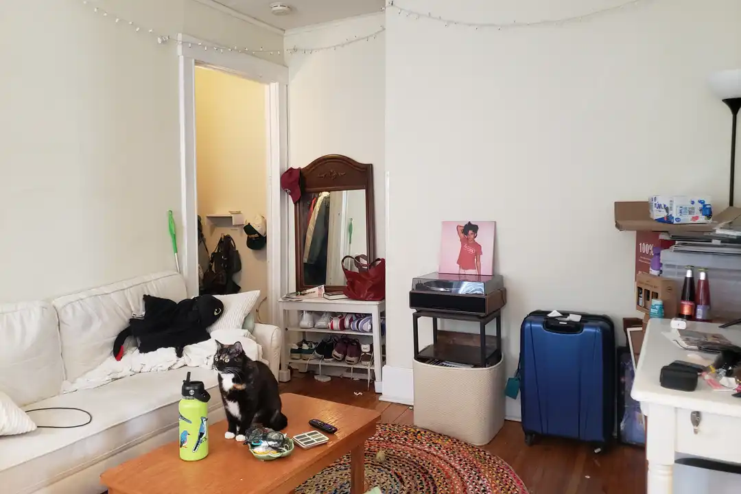 321 W Wilson St unit 4 - View 3