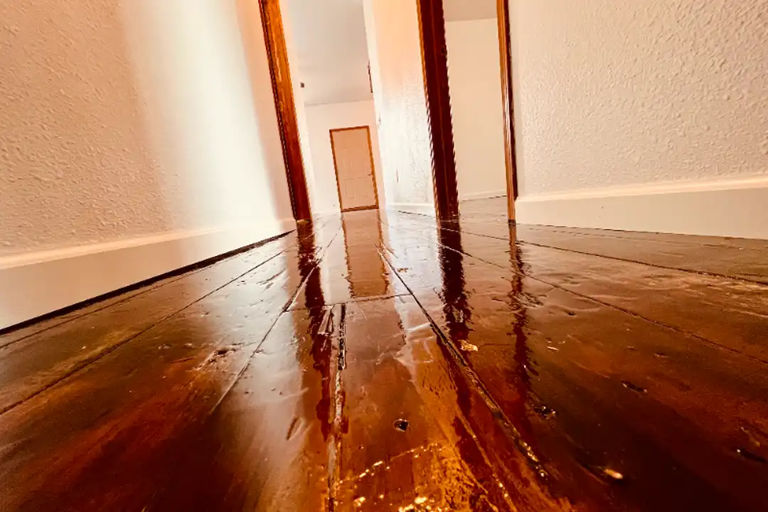 104 High St unit 101A - More
