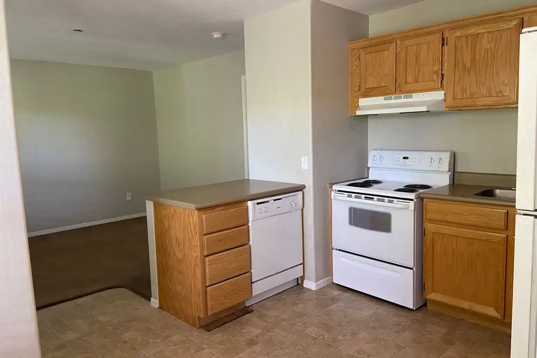 339 N Rush St unit Unit 206 - View 4