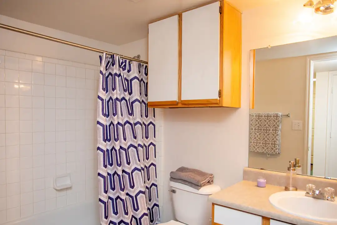 416 N Greenville Ave - View 5