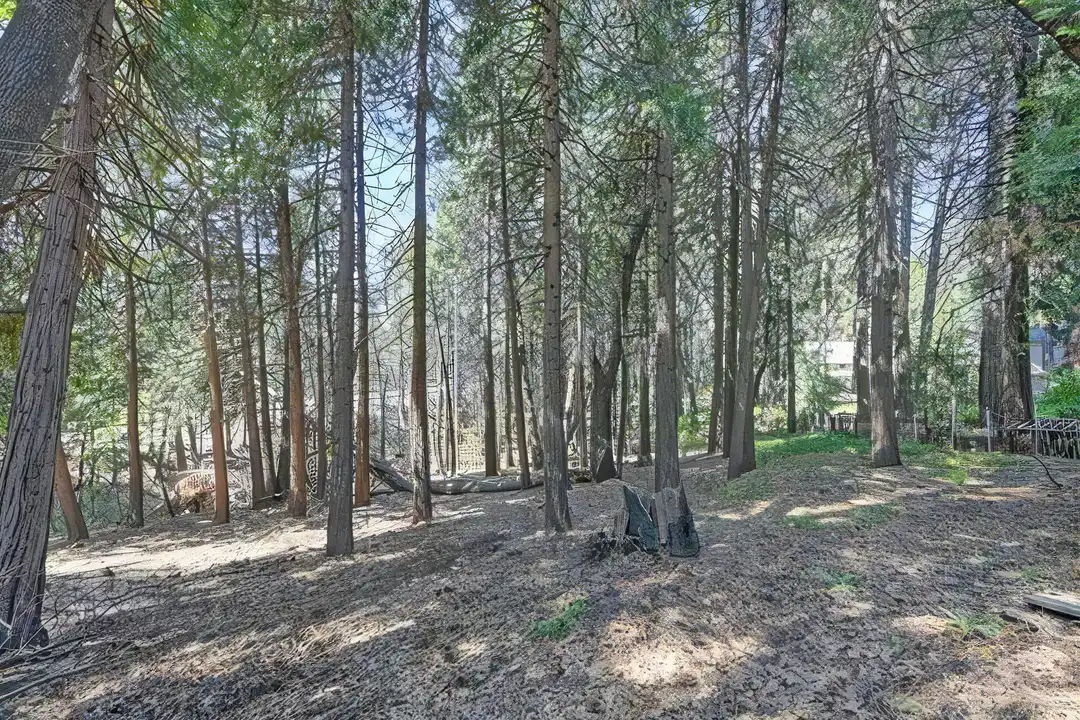 2988 Bonanza St unit 2 - View 3