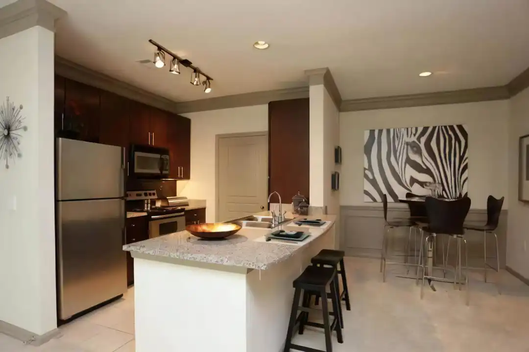 505 E Exchange Pkwy unit # 520 - View 6