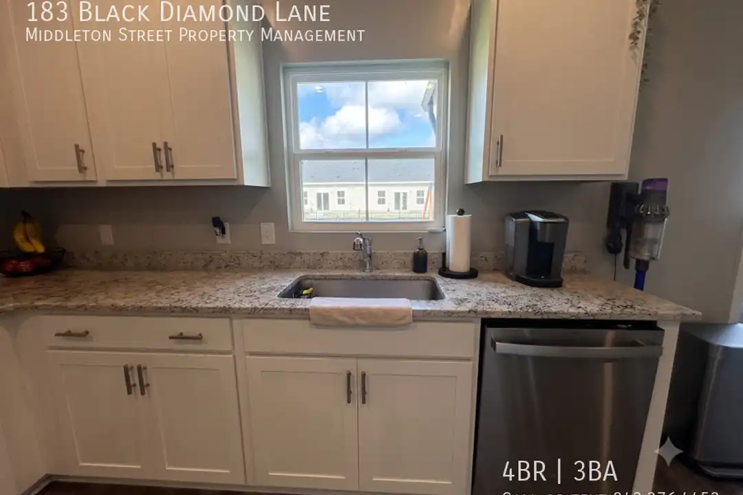 183 Black Diamond Ln - More