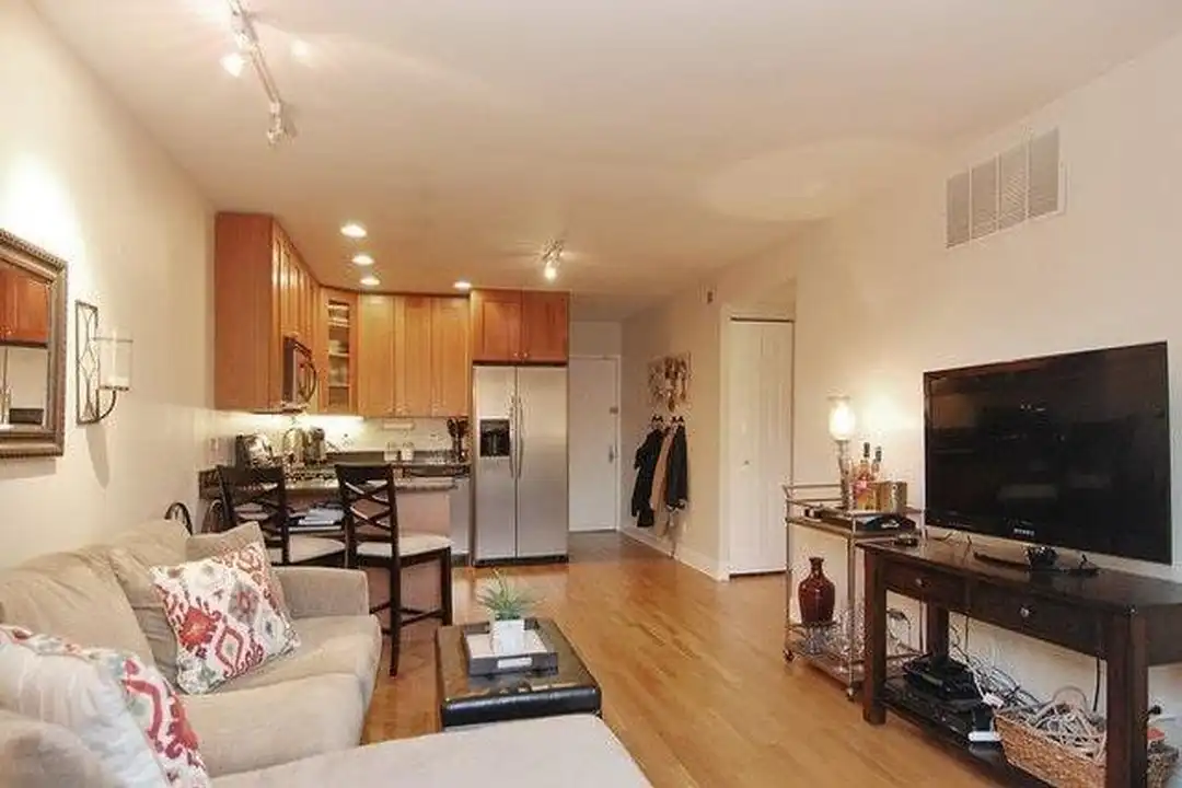 2036 N Larrabee St unit 802 - View 2