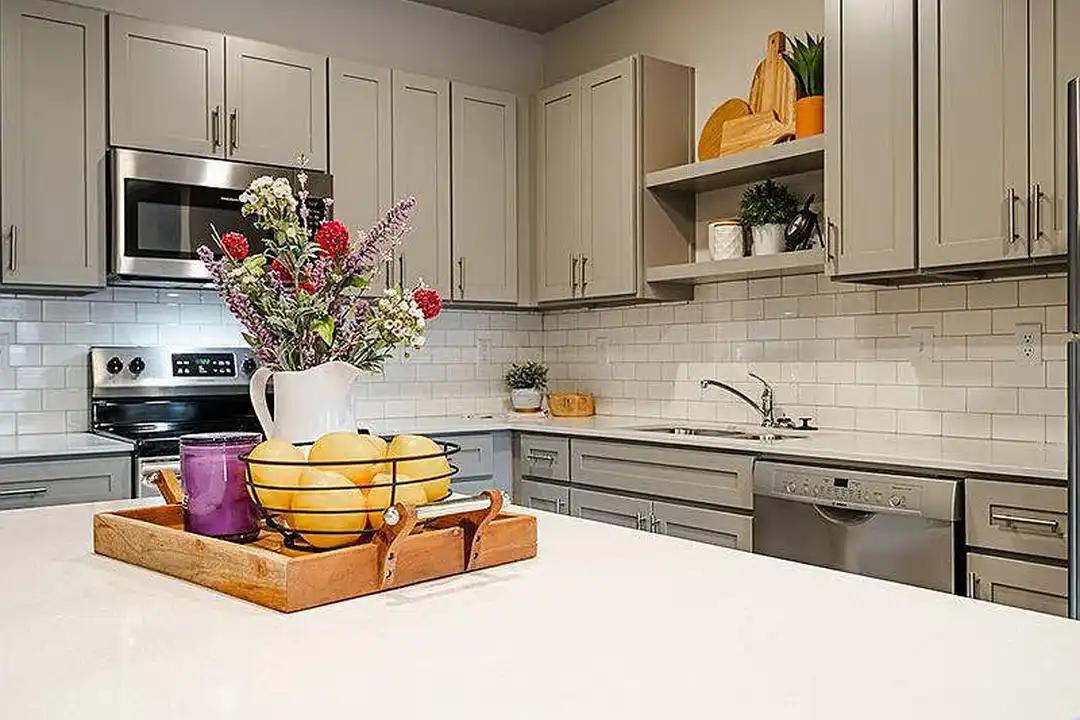 Apartment in Ogden - View 4
