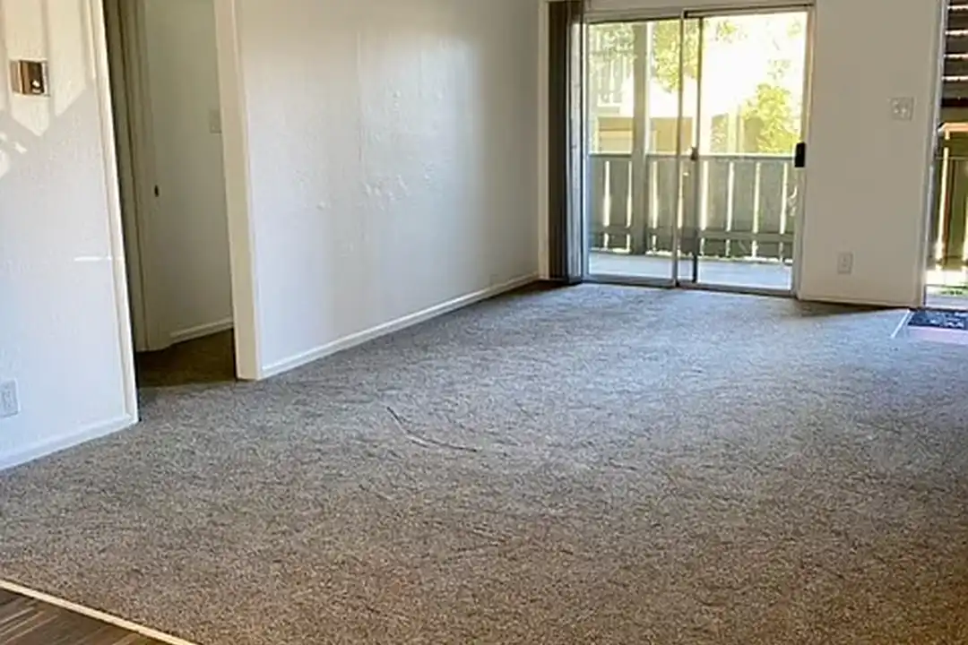 Evergreen Ridge Apartments - View 5