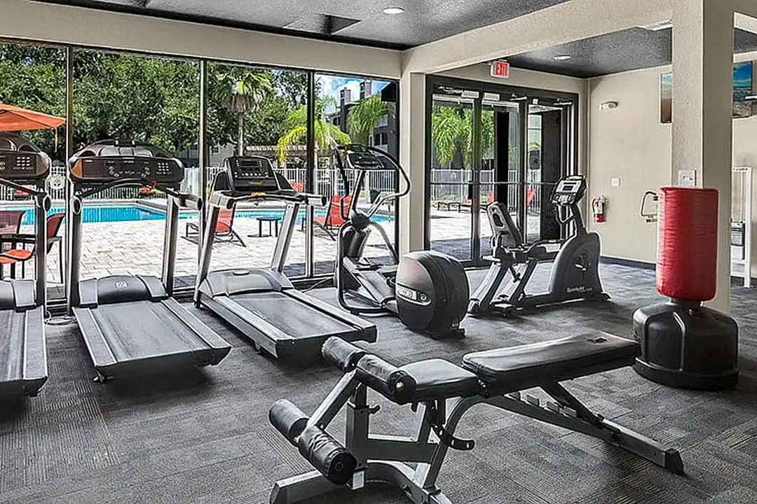 The Summit at Sabal Park Apartments – photo 1