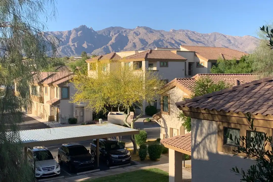2550 E River Rd #16301 - View 3