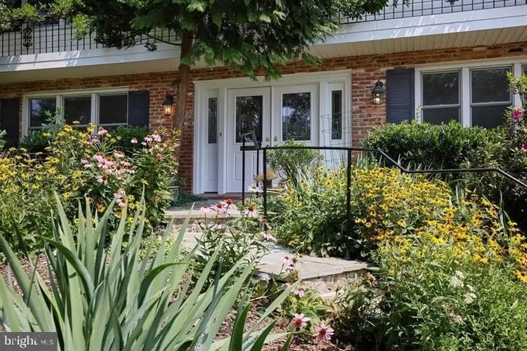 House in Arlington - View 5