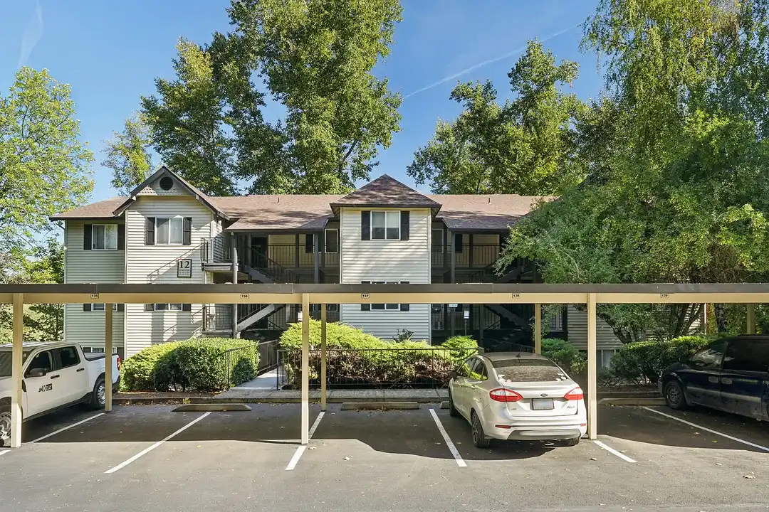 Miramonte Lodge - View 2