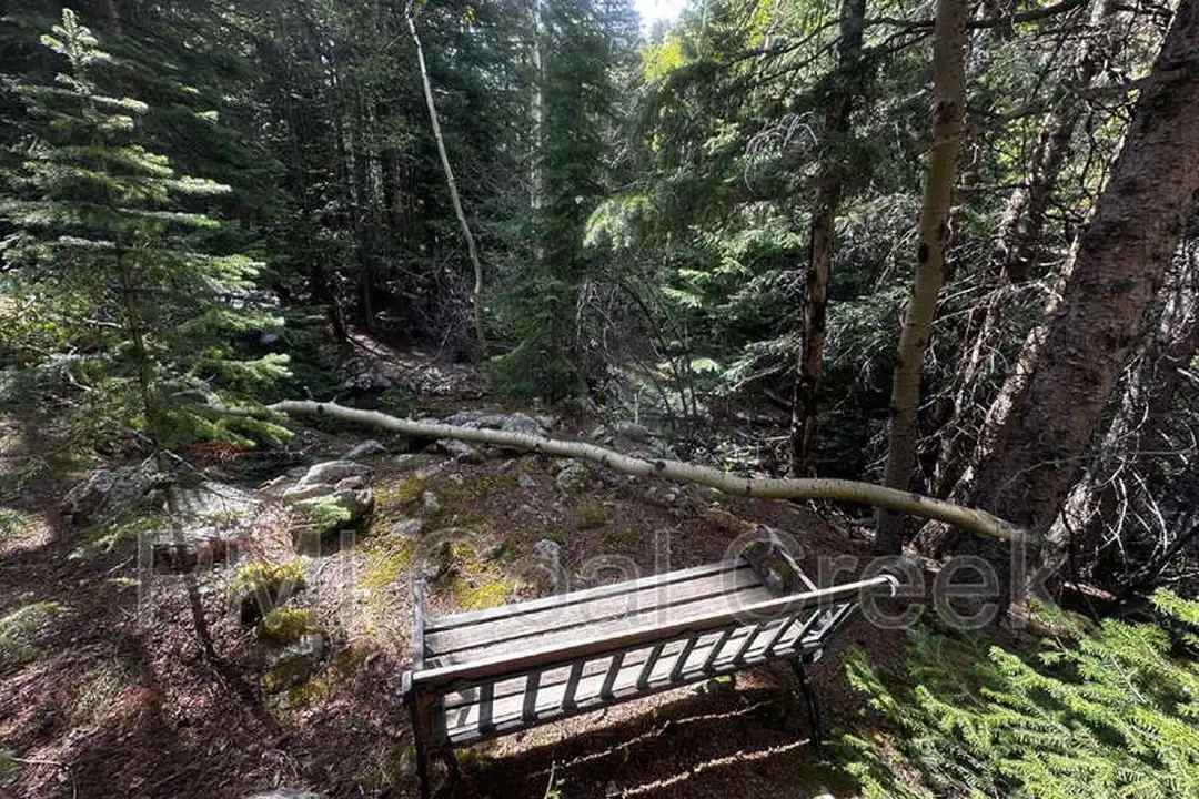 2970 Apex Valley Rd - More