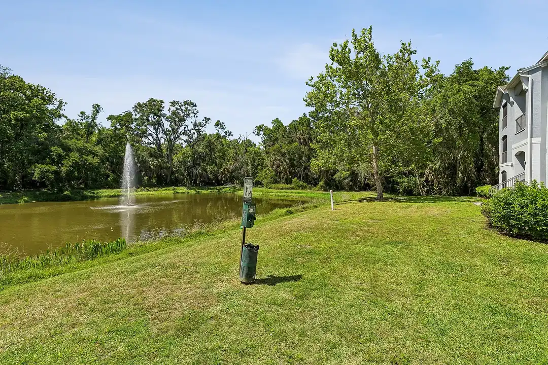 The Preserve at Westchase – photo 1