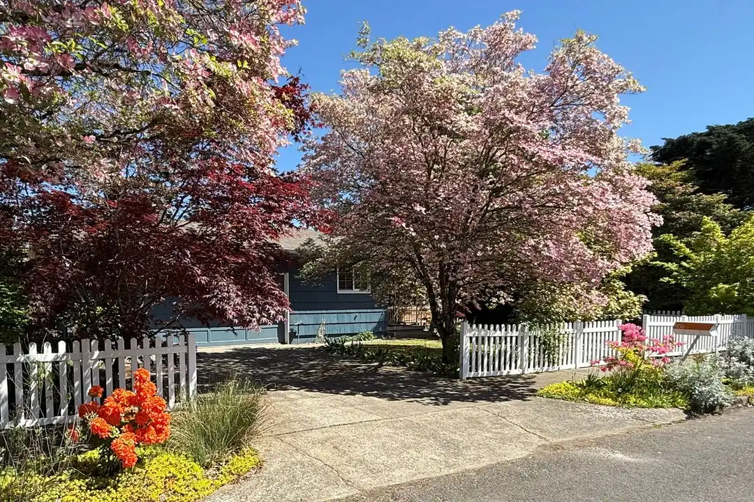 906 SE 165th Ave - View 4